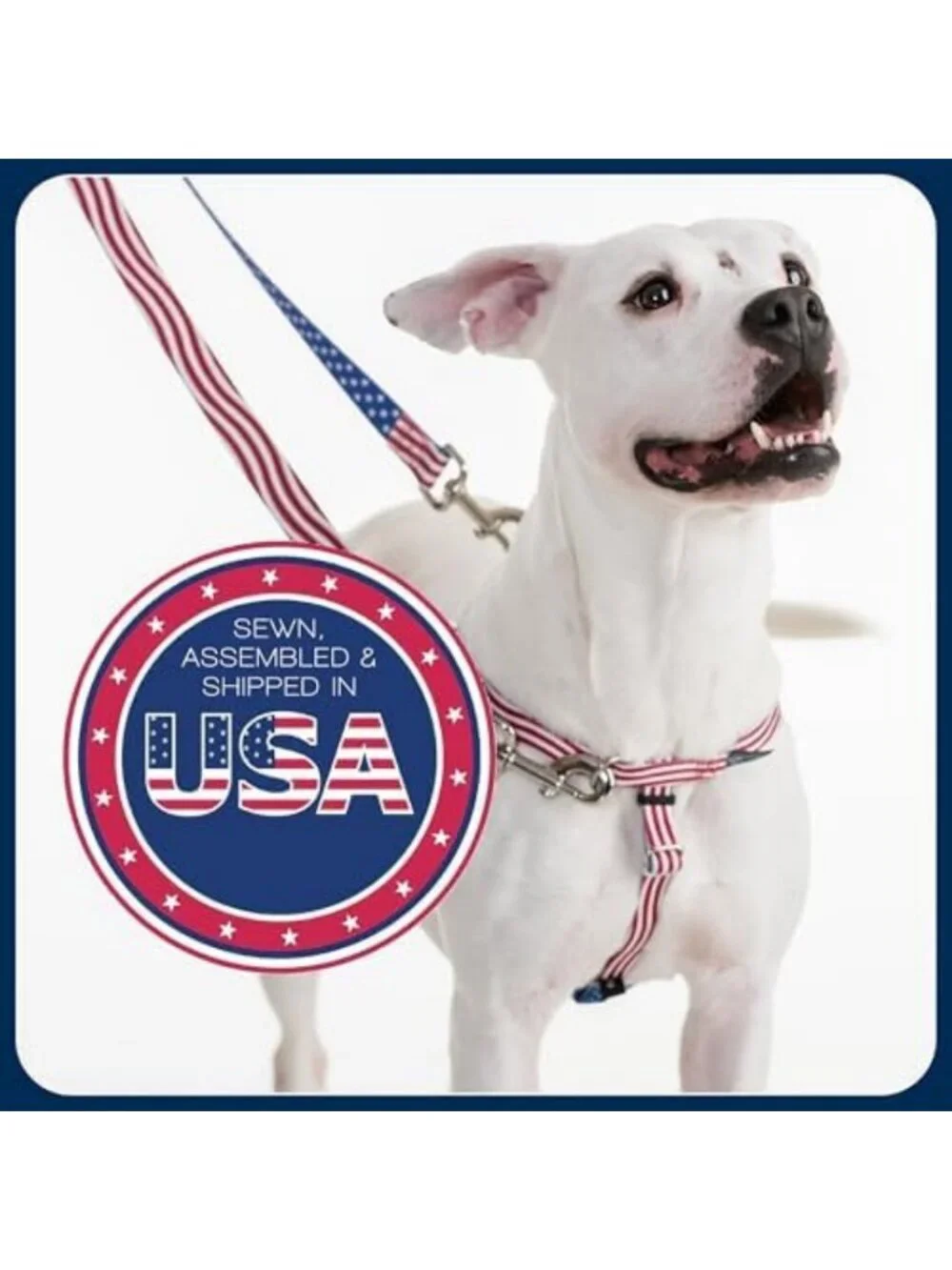 No-Pull Dog Harness & Leash Set, Medium 1